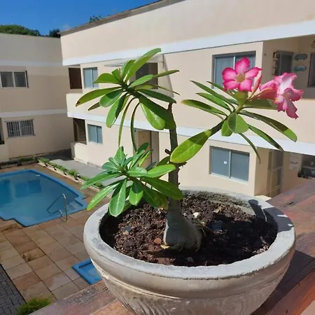 Zapipou - Apartamento aconchegante para você aproveitar o melhor de Pipa Praia de Pipa Exterior foto